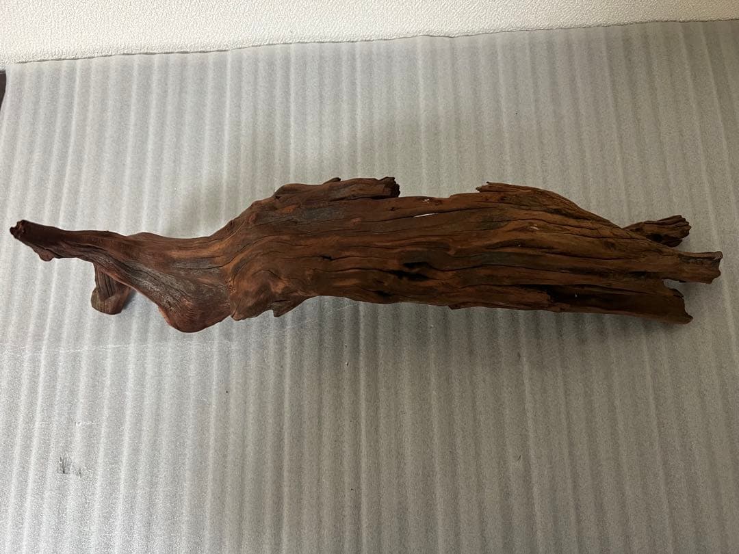 HX-075 流木　ホーンウッド　マシンガンウッド　アクアリウム　ブランチウッド