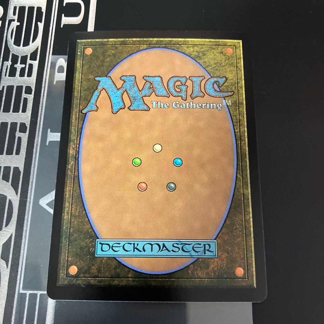 【プレブ産Foil】MTG　量子の謎かけ屋　ボーダーレス　日本語版