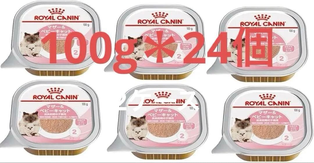  CANINマザー&ベビームース24個入り＊2