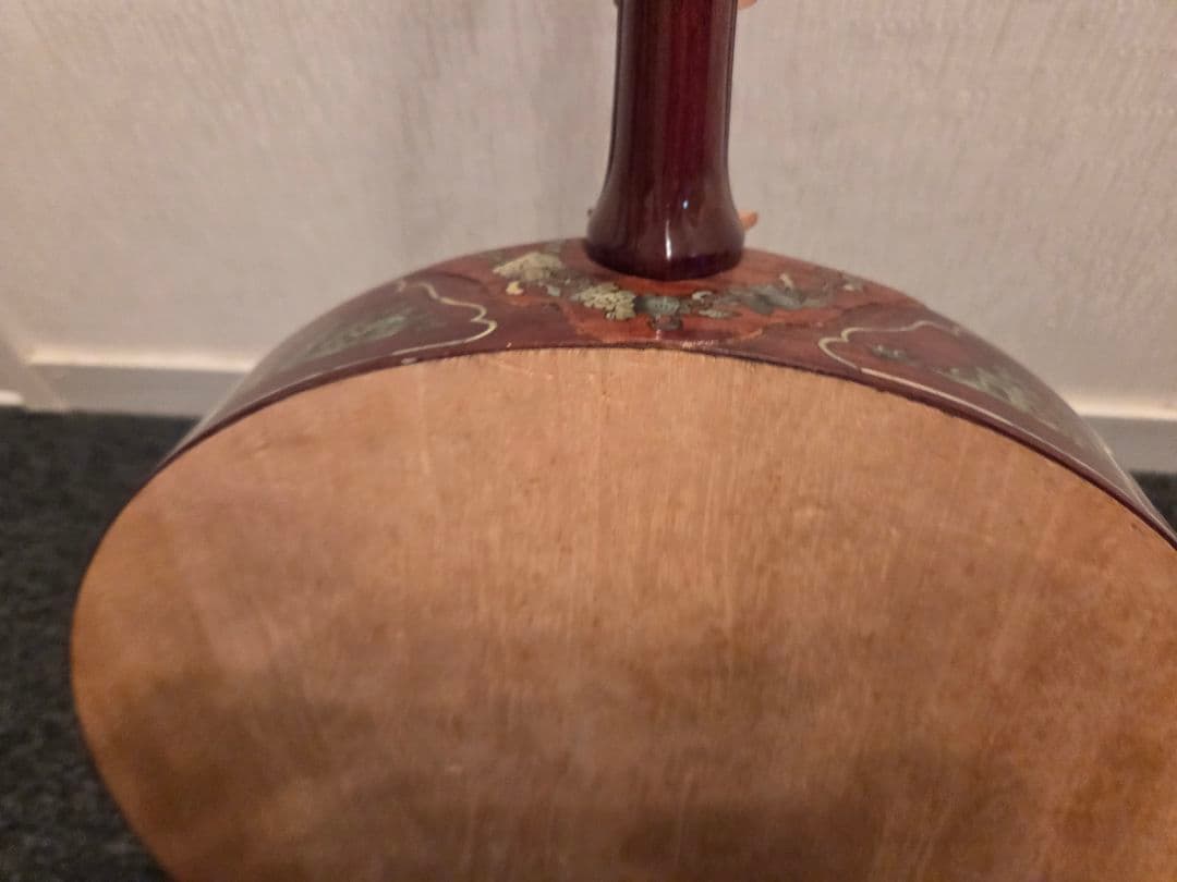 ダン・グエット ベトナム 弦楽器 民族楽器 二弦 月琴