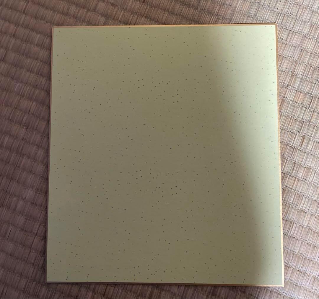 【激レア直筆】青山剛昌 安室透 サイン色紙 名探偵コナン