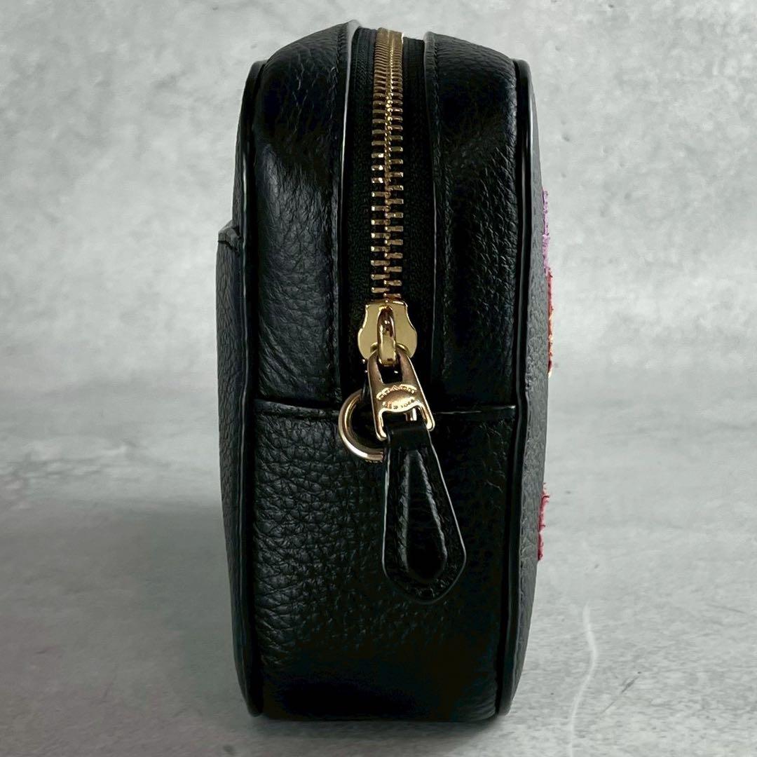 ✨稀少✨美品✨コーチ　ダイアリー　カメラバッグ 2way 刺繍　レザー　ブラック