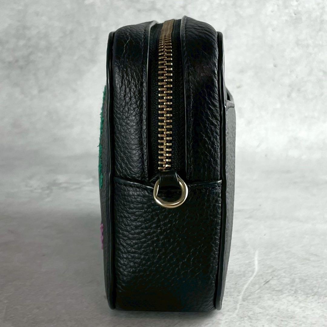 ✨稀少✨美品✨コーチ　ダイアリー　カメラバッグ 2way 刺繍　レザー　ブラック