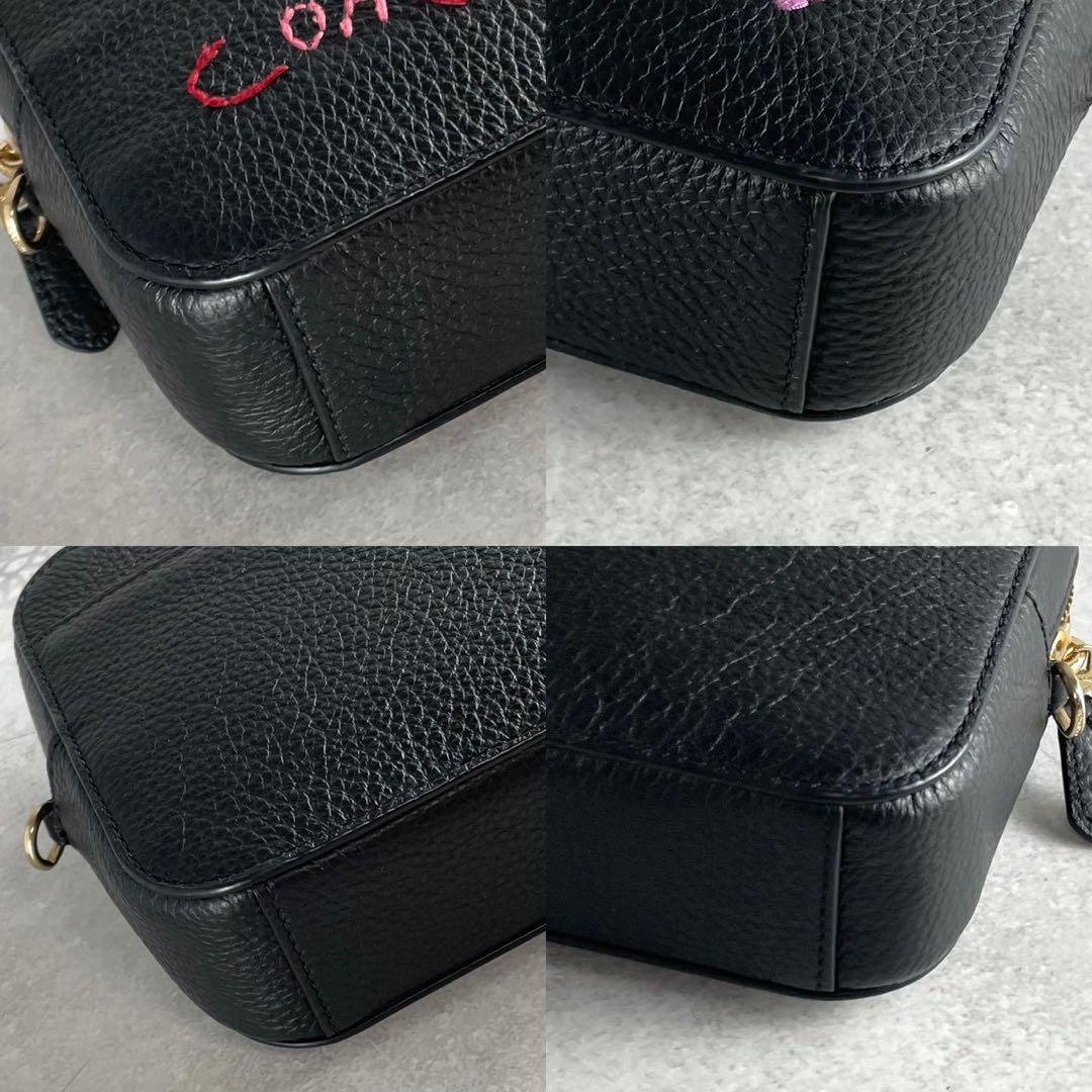 ✨稀少✨美品✨コーチ　ダイアリー　カメラバッグ 2way 刺繍　レザー　ブラック