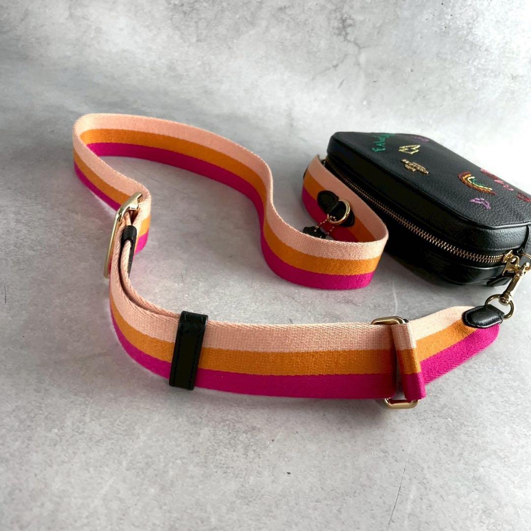 ✨稀少✨美品✨コーチ　ダイアリー　カメラバッグ 2way 刺繍　レザー　ブラック