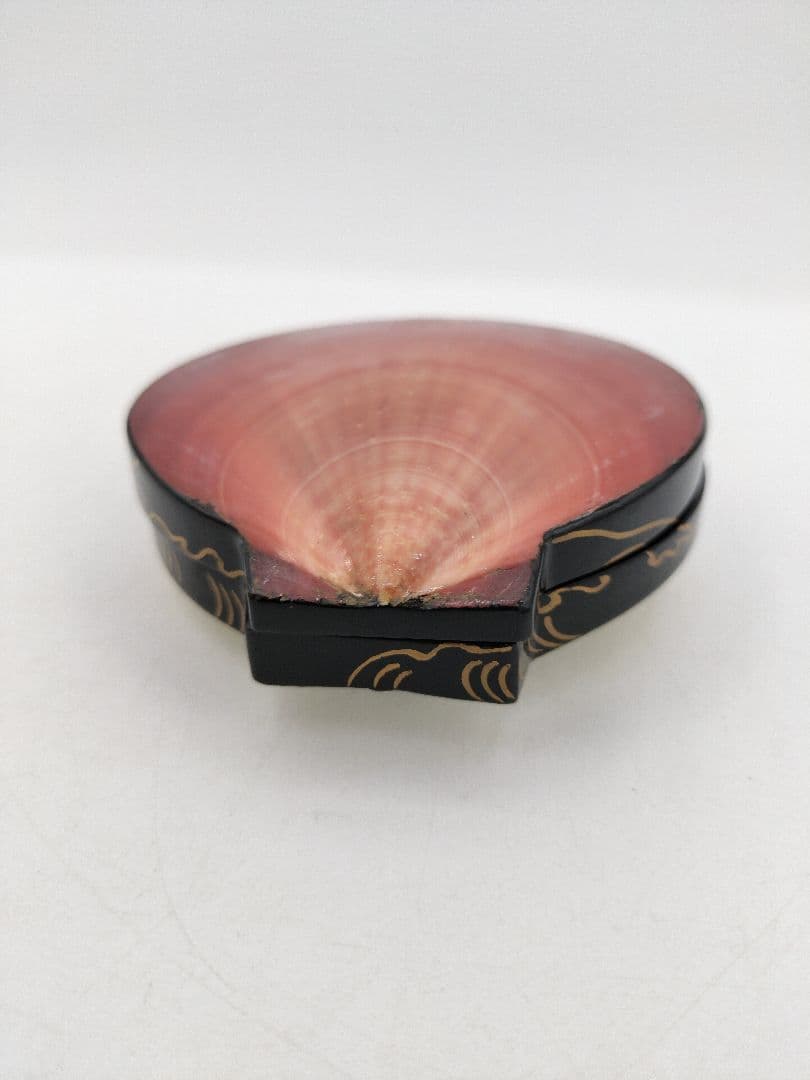 【セール】b806【新品・未使用】香合 月日貝 鈴木光入 玄々好 木箱 茶道具