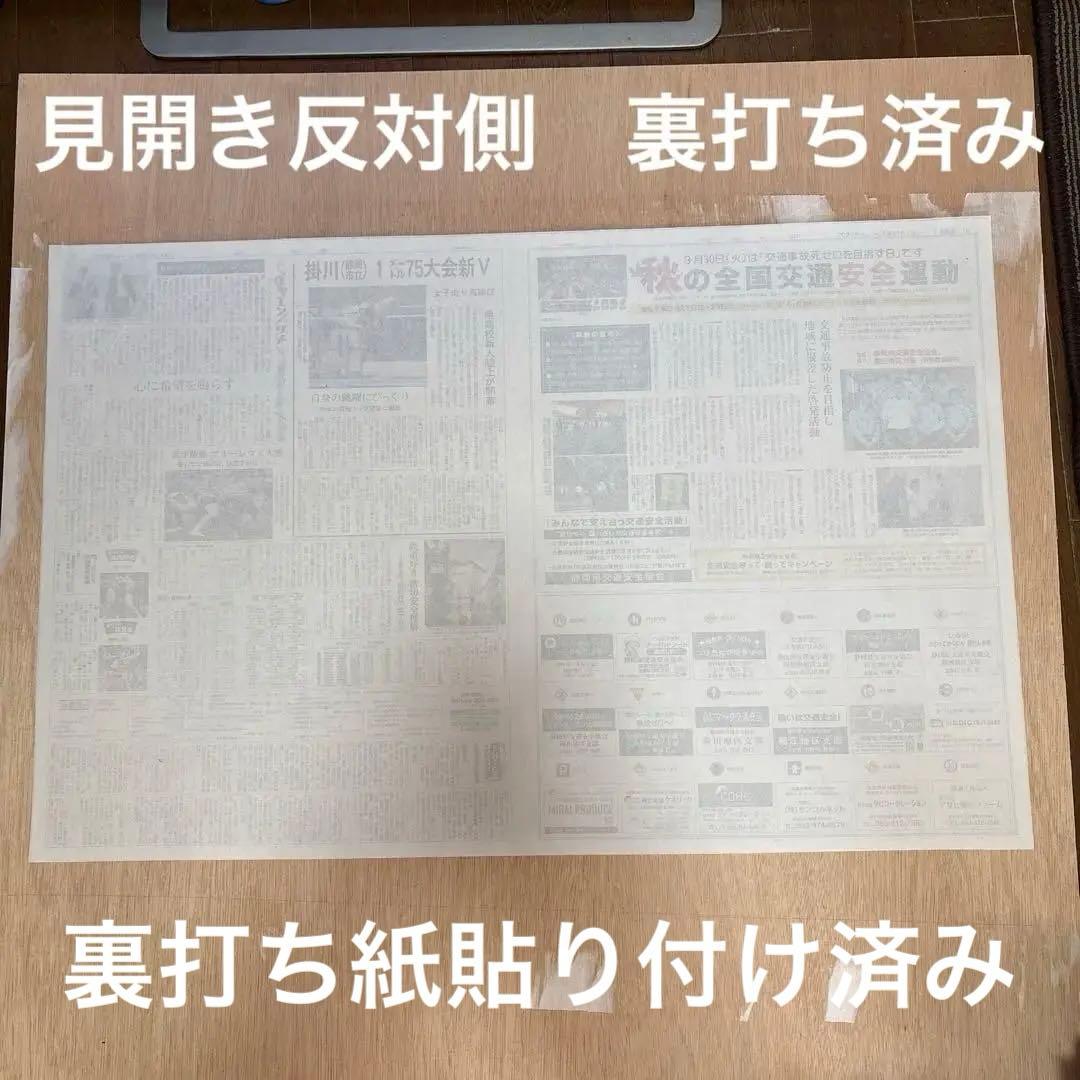 Fate/Grand Order10周年記念広告企画　 中日新聞　裏打ち　額付