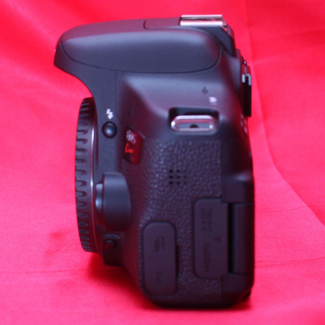 キャノン　キス　x8i デジタルカメラ　付属品充実　バック付き