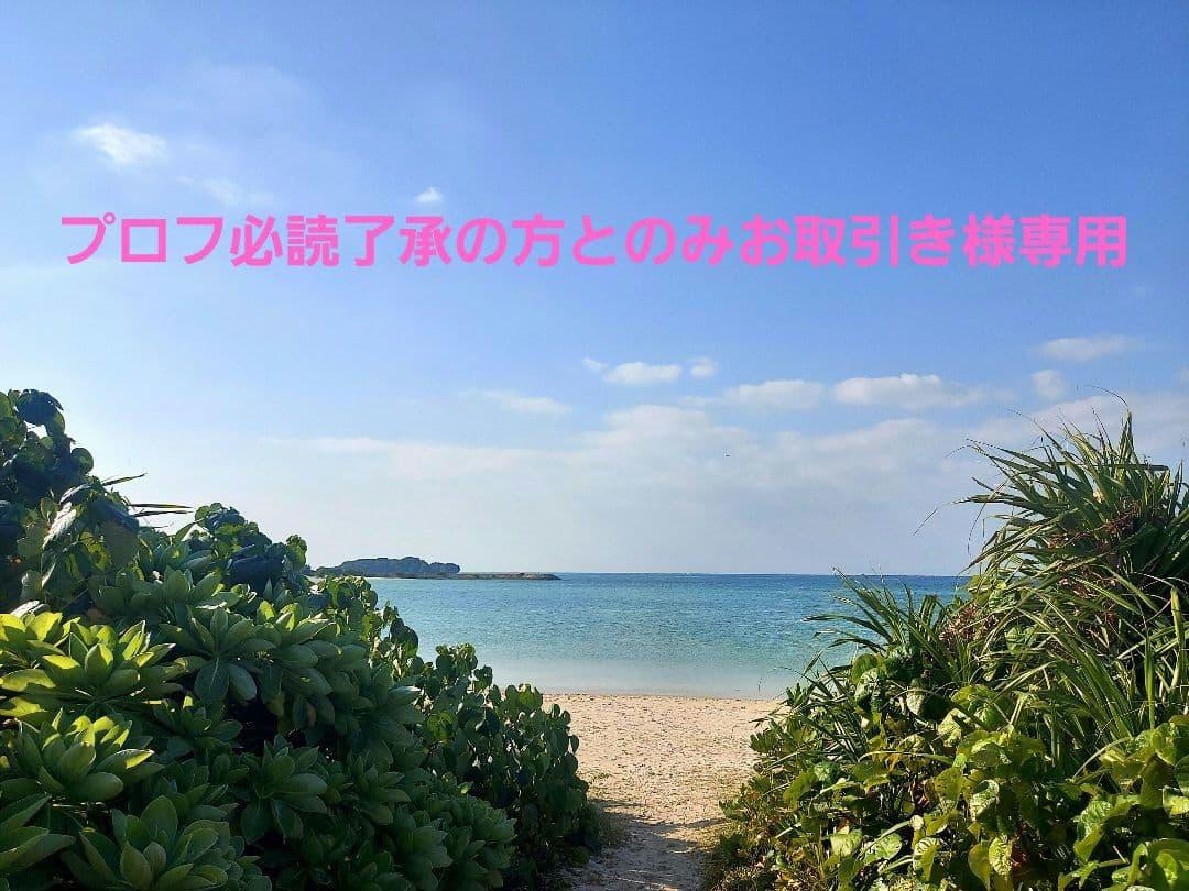 新品ステンレス Ｌケージ　短面