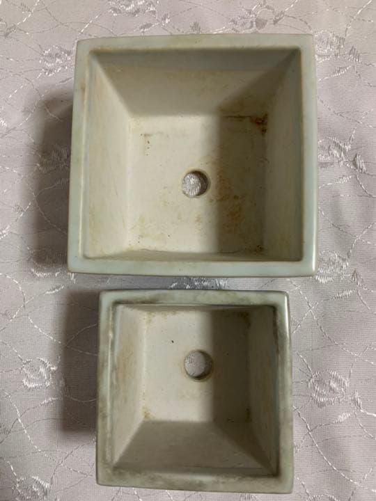 丸藤　中国鉢　盆栽鉢