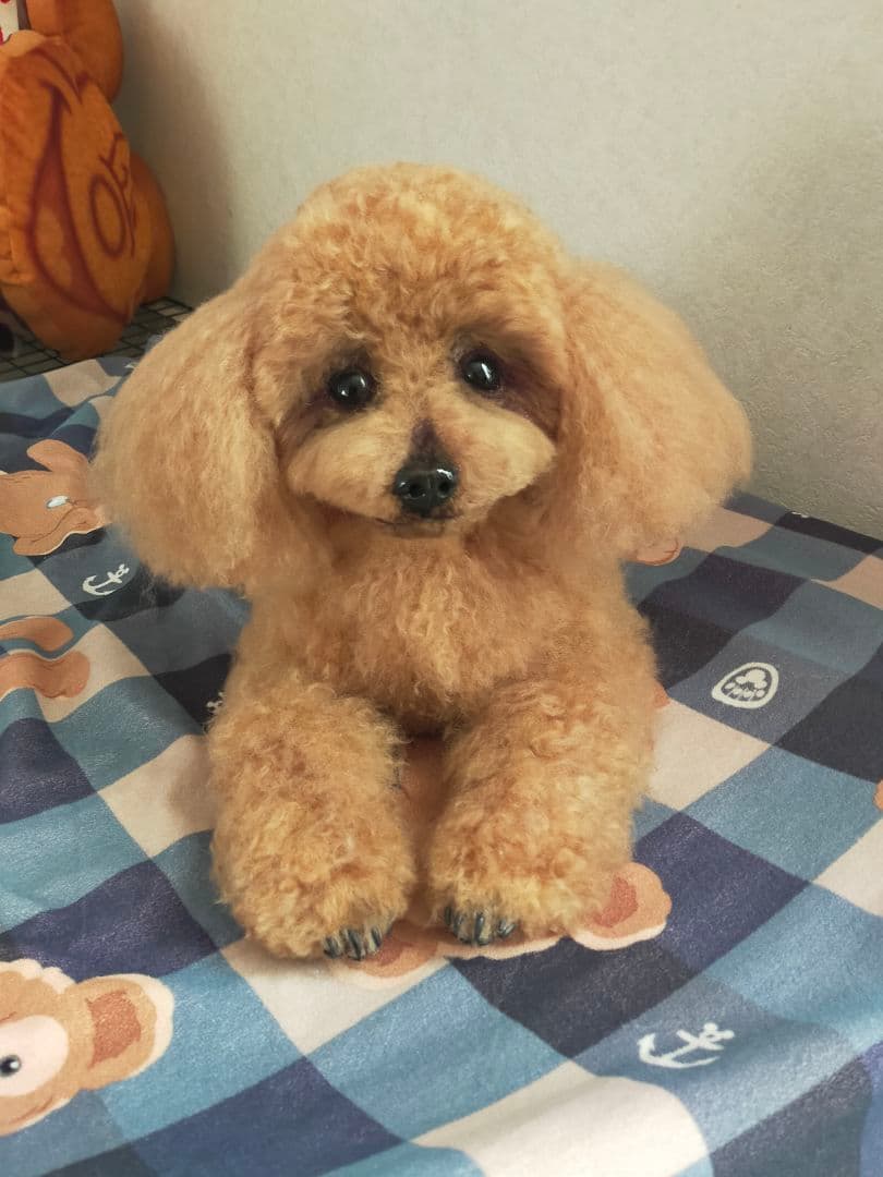 カズオーダー♡実物大