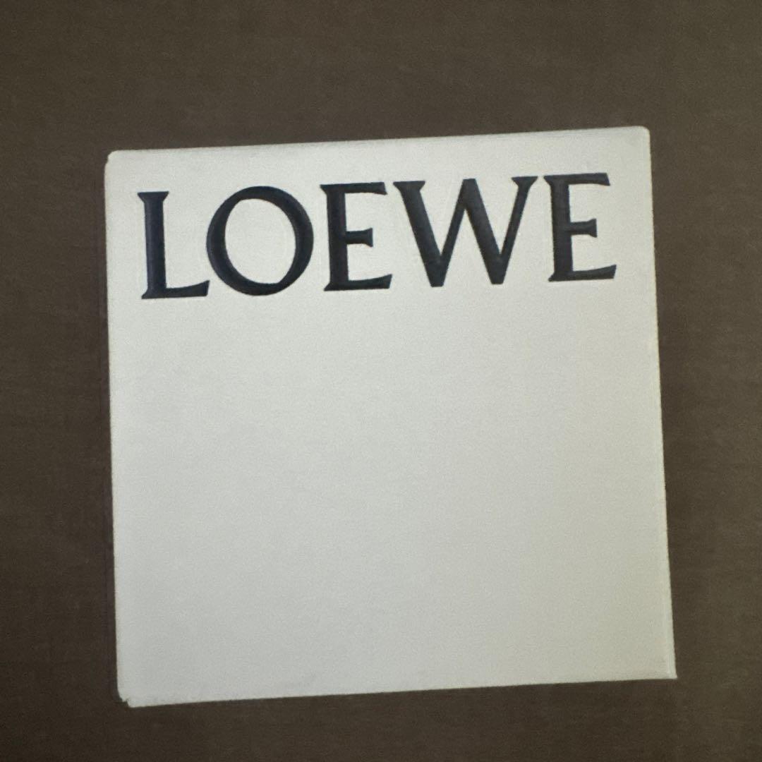 LOEWE シルバーブローチ ポーチ付き