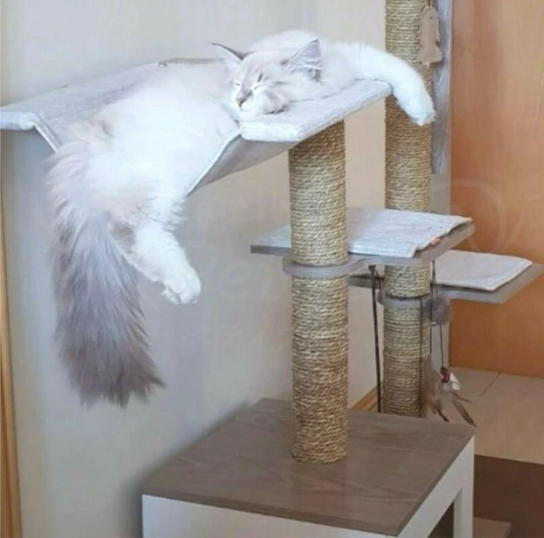 キャットタワー キャットハウス インテリア 組立て簡単 据え置き