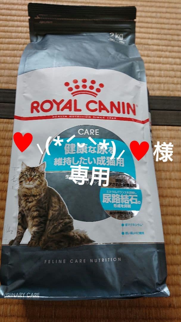 ♥️⸜(*ˊᵕˋ*)⸝‬♥️ ロイヤルカナン