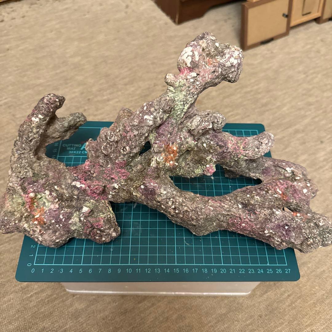 ライブロックレプリカ