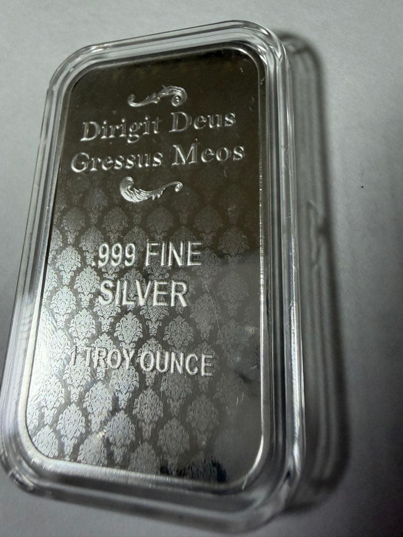 2024年 アメリカ「ウナとライオン」純銀 1オンス バー