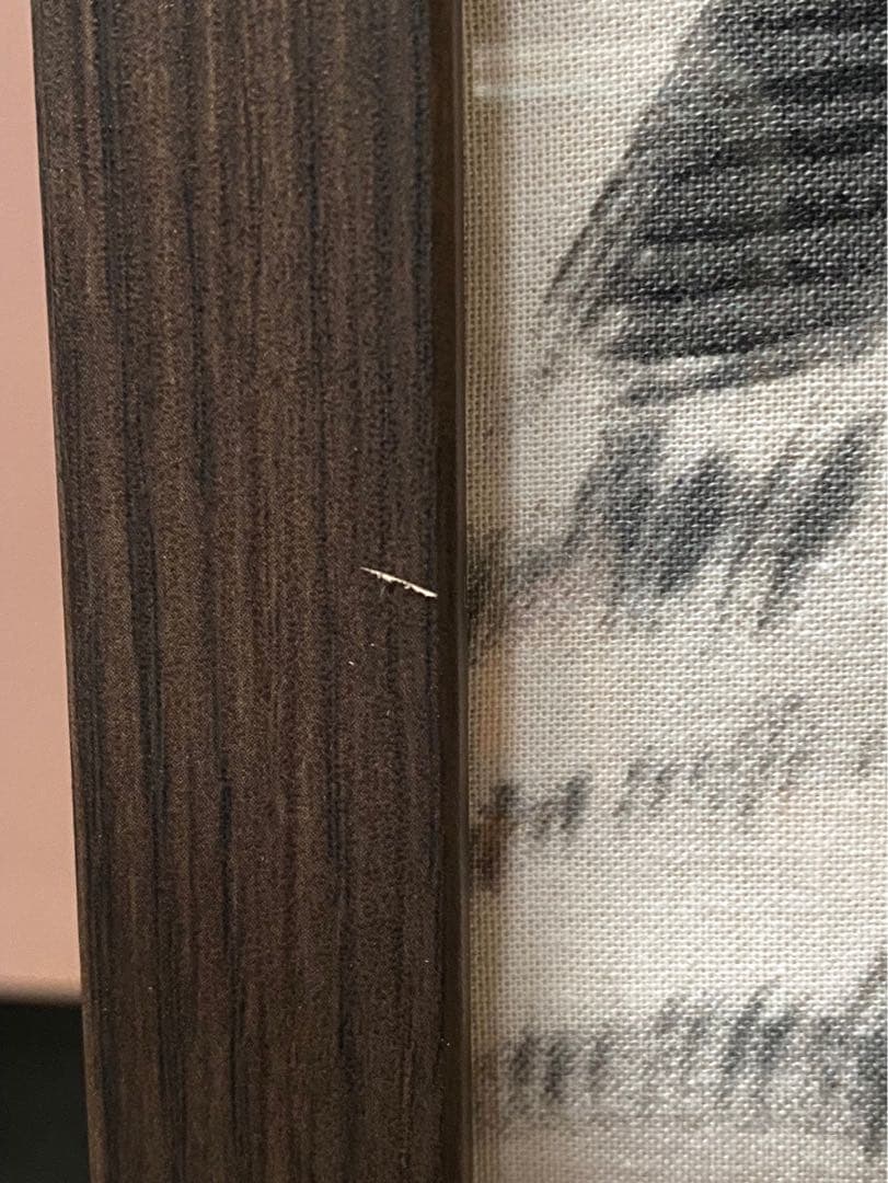 ペコワン＊伊藤若冲　群鶏図 額縁