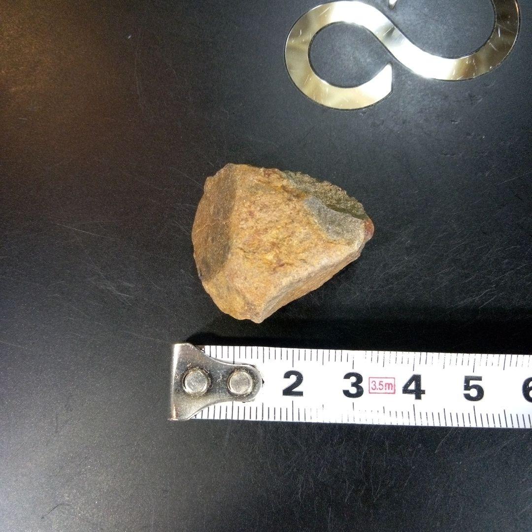 三葉虫　化石　fossil　ボリビア産　trilobite　Bolivia化石④