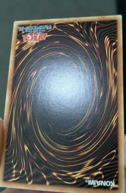遊戯王、繁体字、中国版、偽骸神龍、ハートアースドラゴン、シク、シークレットレア