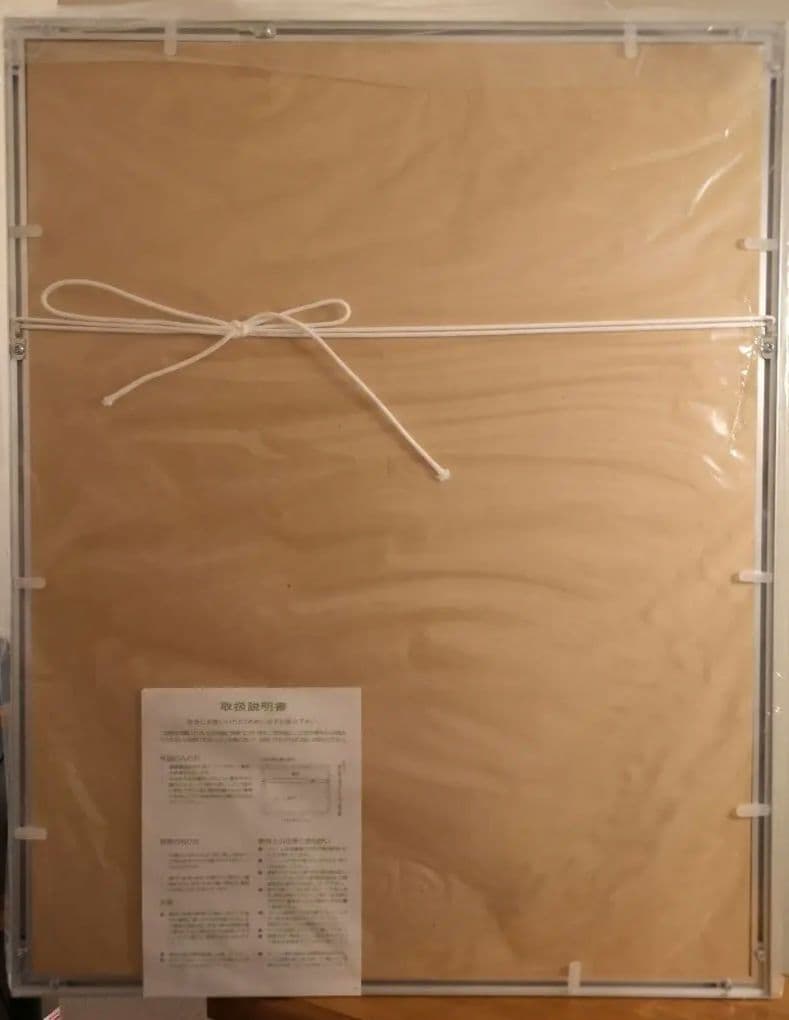 ジャンプフェスタ2009 ONE PIECE 複製原画