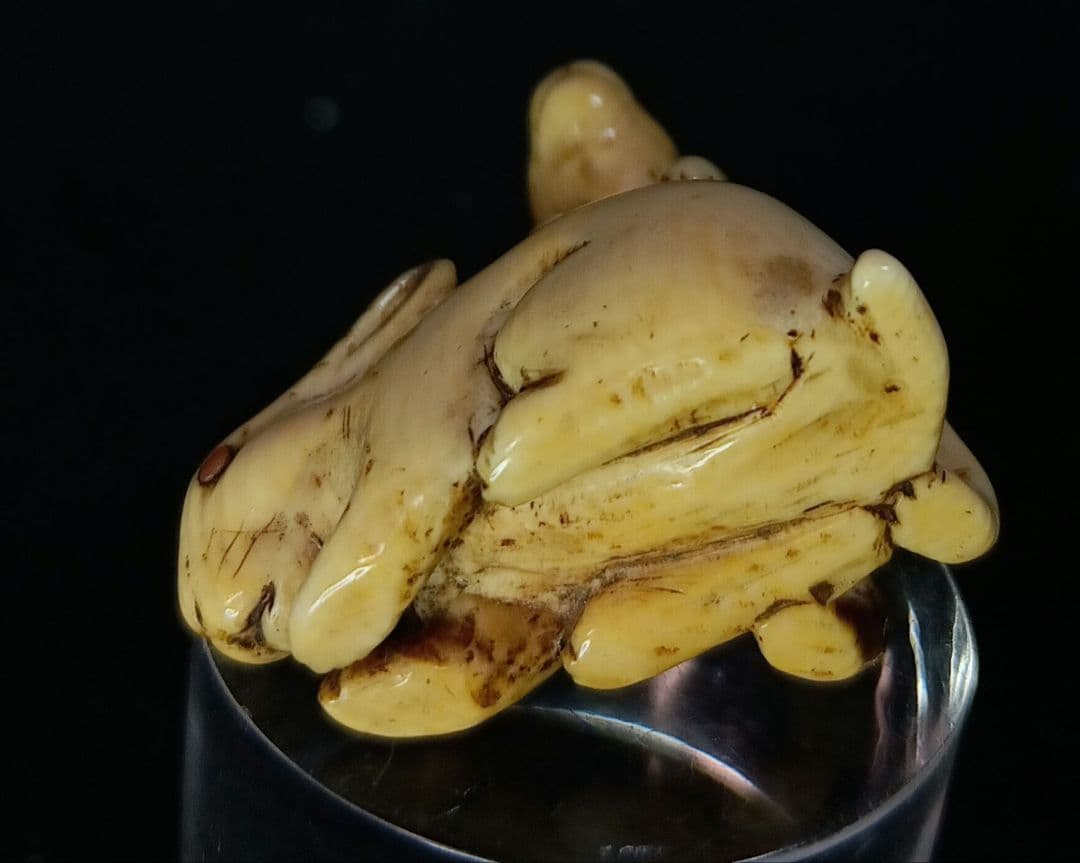 江戸時代 根付 「夫婦うさぎ 図」 無銘だが名品