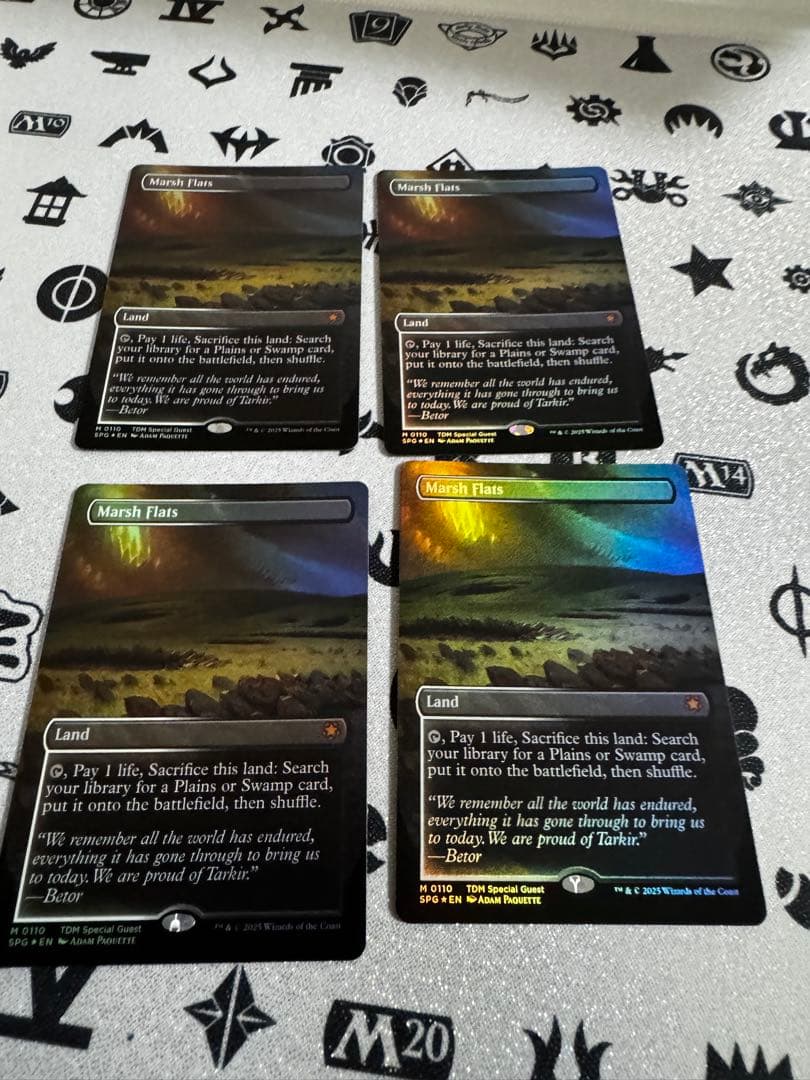 4枚セット 湿地の干潟 foil 英語