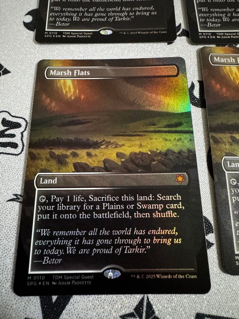 4枚セット 湿地の干潟 foil 英語