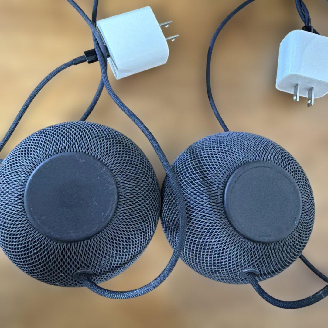  pod mini スペースグレイ２個