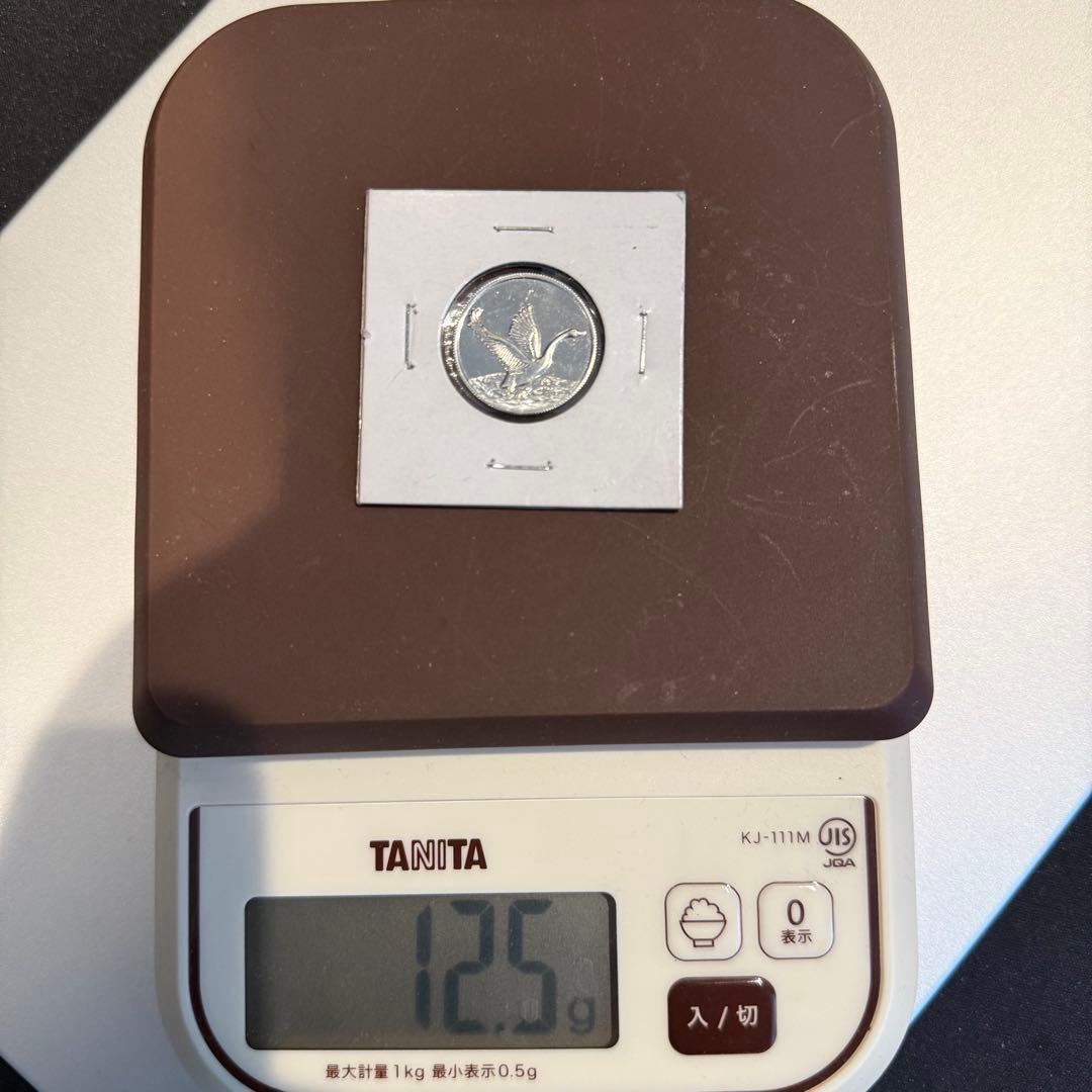 田中貴金属 純プラチナ Pt99.95インゴット 1985 白鳥 10g