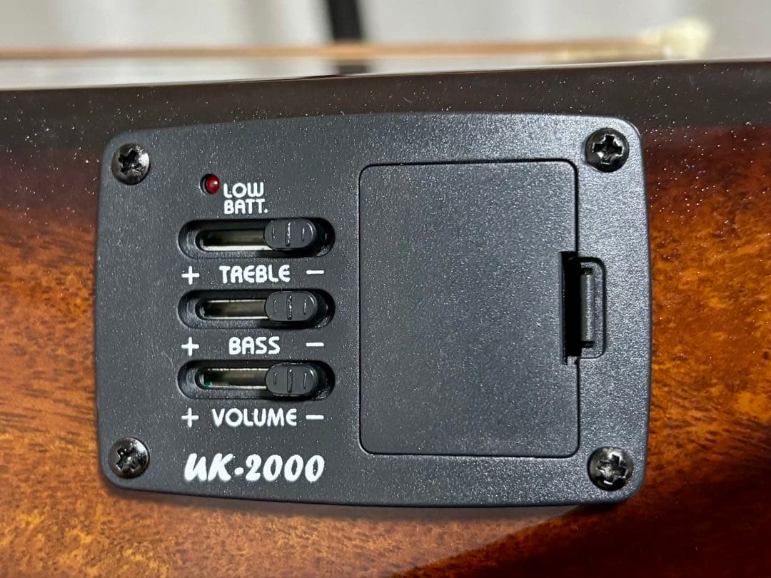 【ミニアコースティックギター】 フィリピン Alegra アレグレ【マンゴー材】