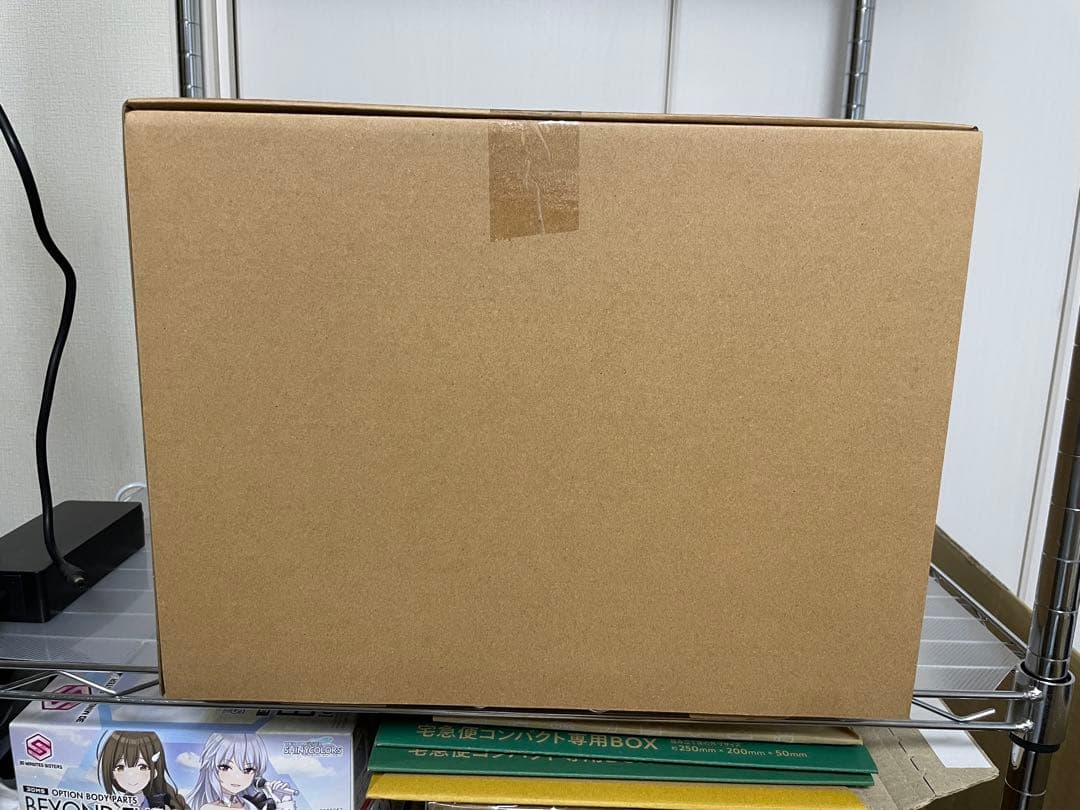 東宝30cmシリーズ　ゴジラ(2023) 限定版