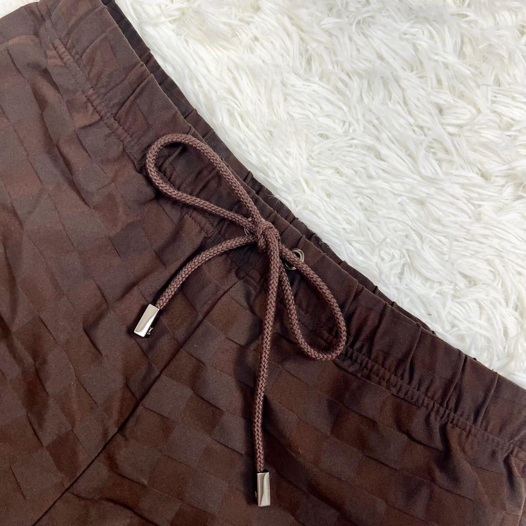 新品未使用タグ付き ルイヴィトン ダミエ スイムパンツ メンズ 水着