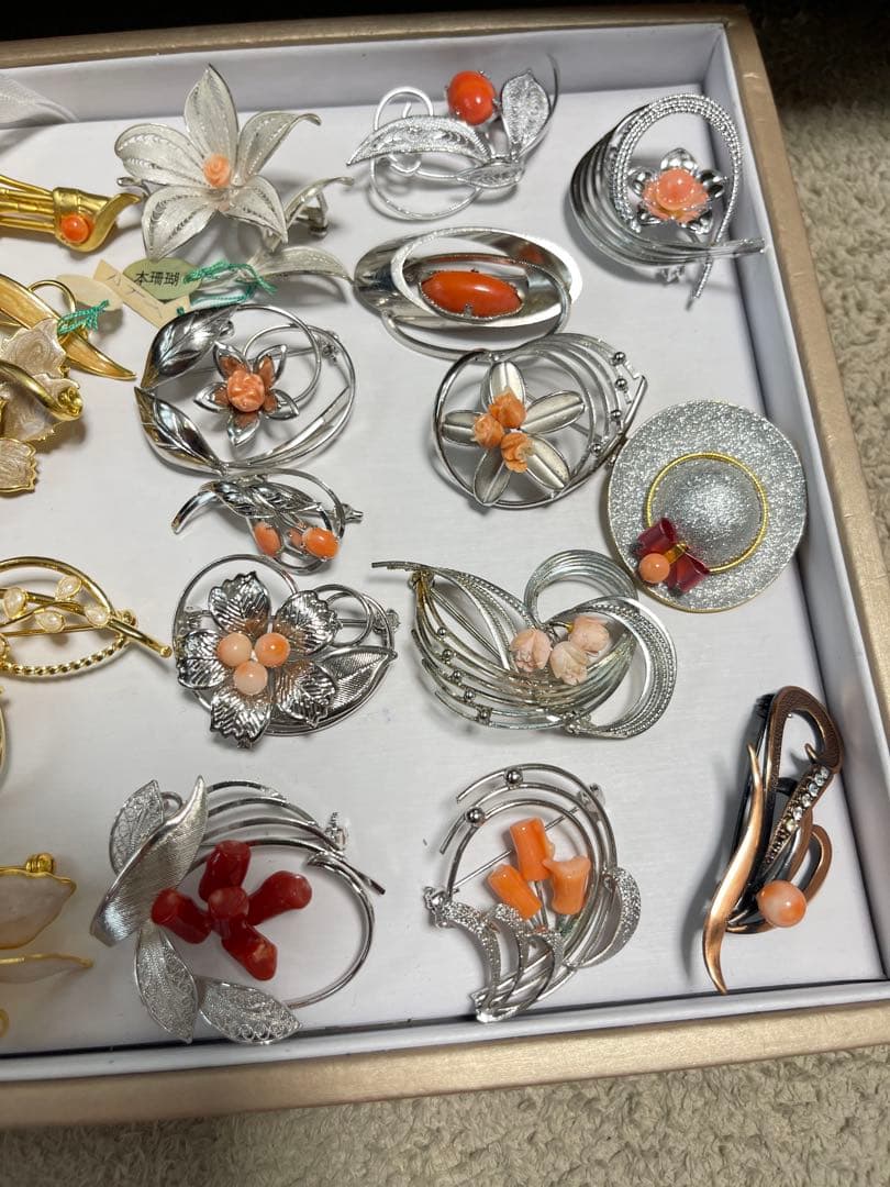 珊瑚プローチまとめ（19）