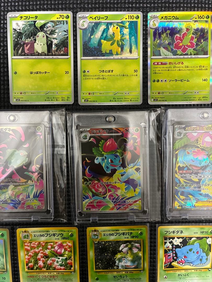 フシギダネ・フシギソウ・フシギバナ セット