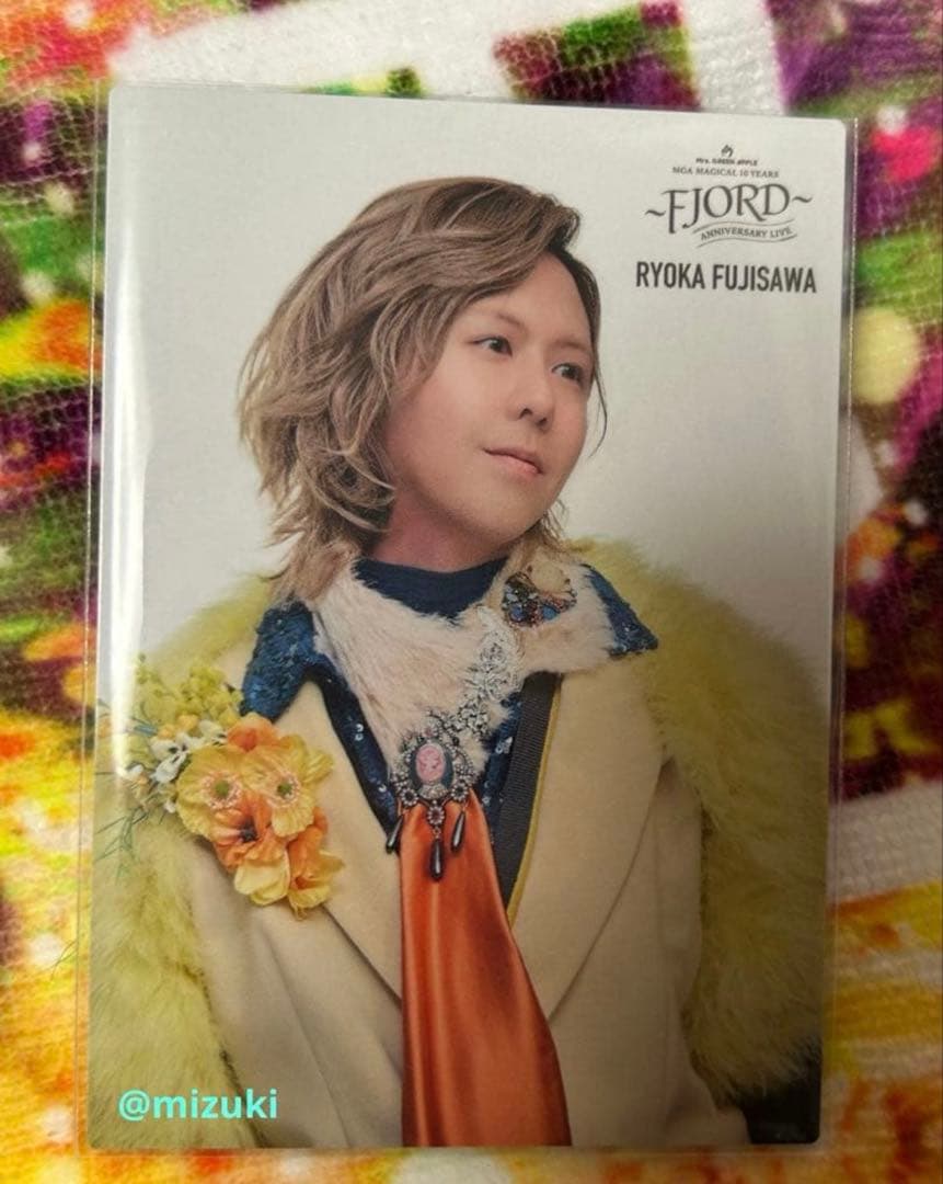 ききこ　ミセス　バベル　フィヨルド　フォトカ　11枚セット