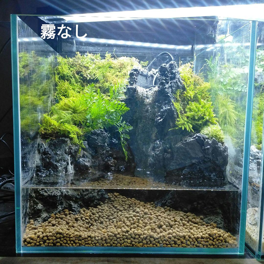 滝と霧の流れるアクアテラリウム　やすぞ〜