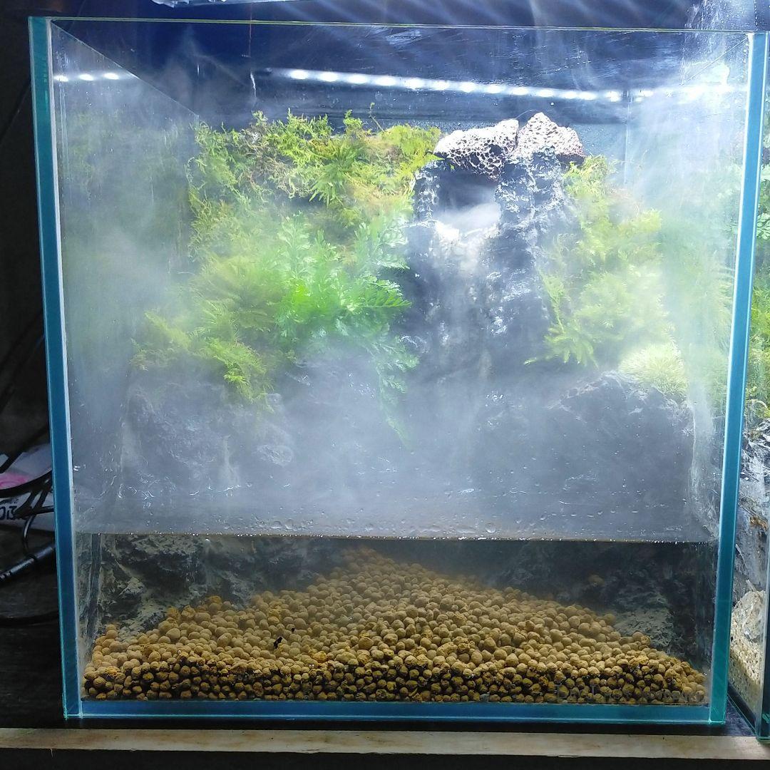 滝と霧の流れるアクアテラリウム　やすぞ〜