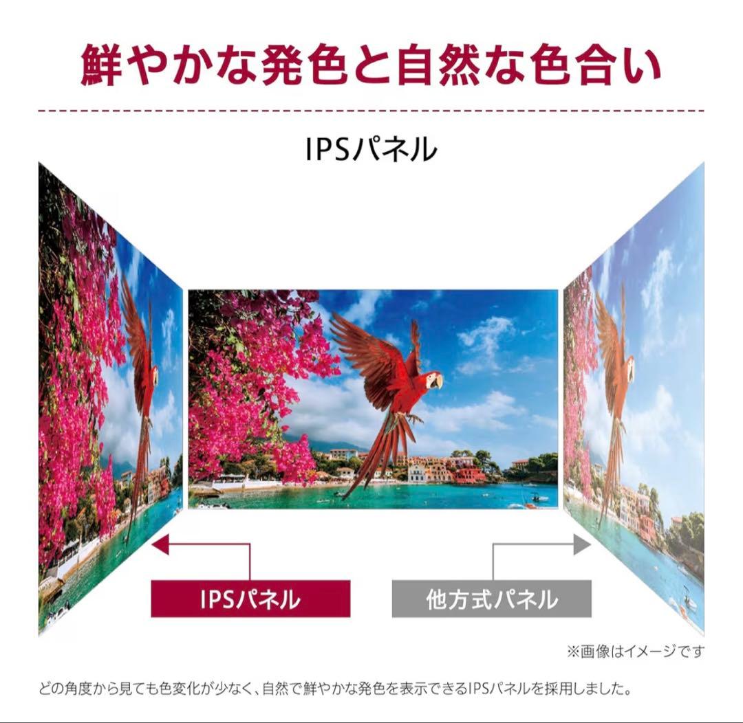 LG UltraWide 29インチ モニター 本体