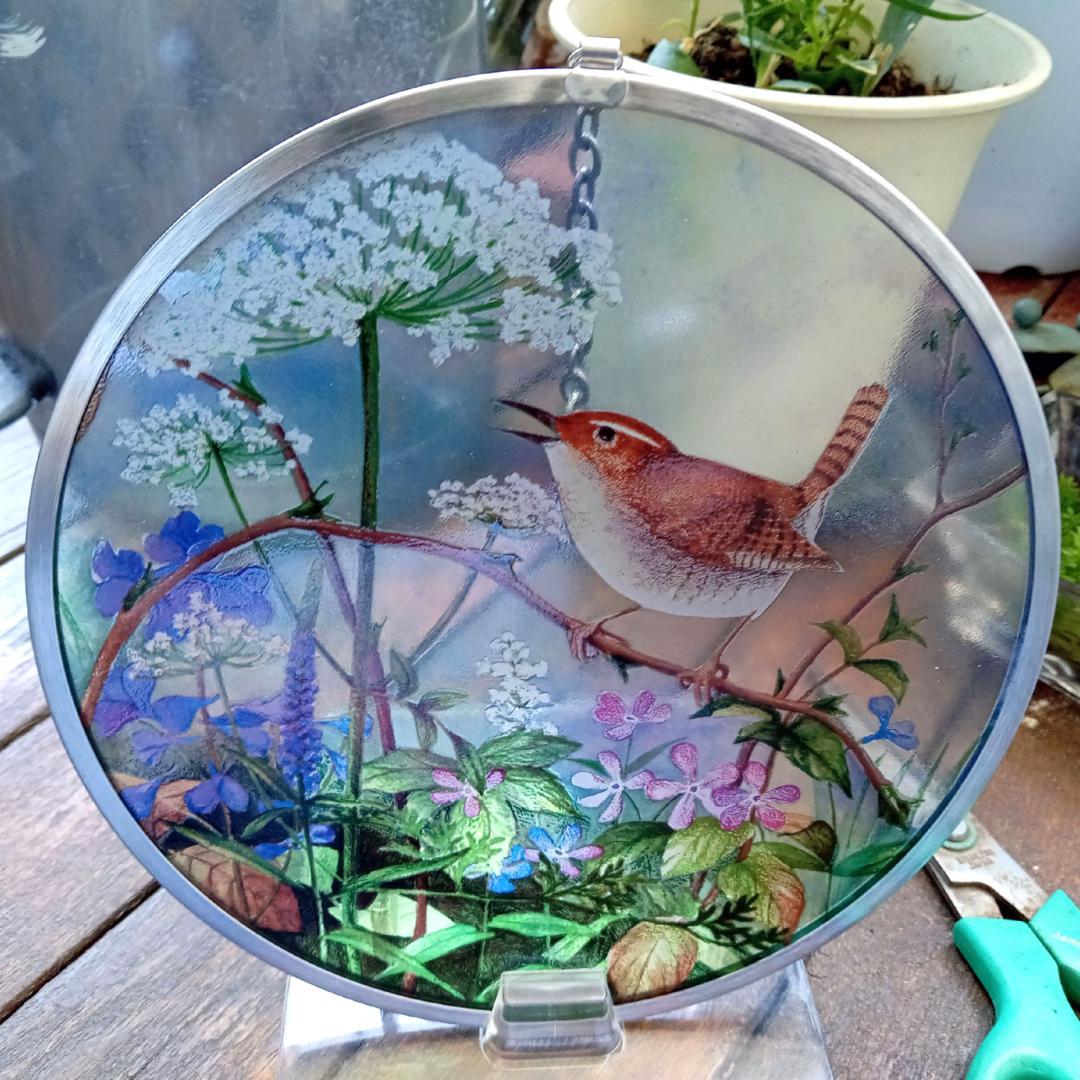 新品 花鳥・アメリカムシクイ スミレ サクラソウ カナダ・ステンドグラス社