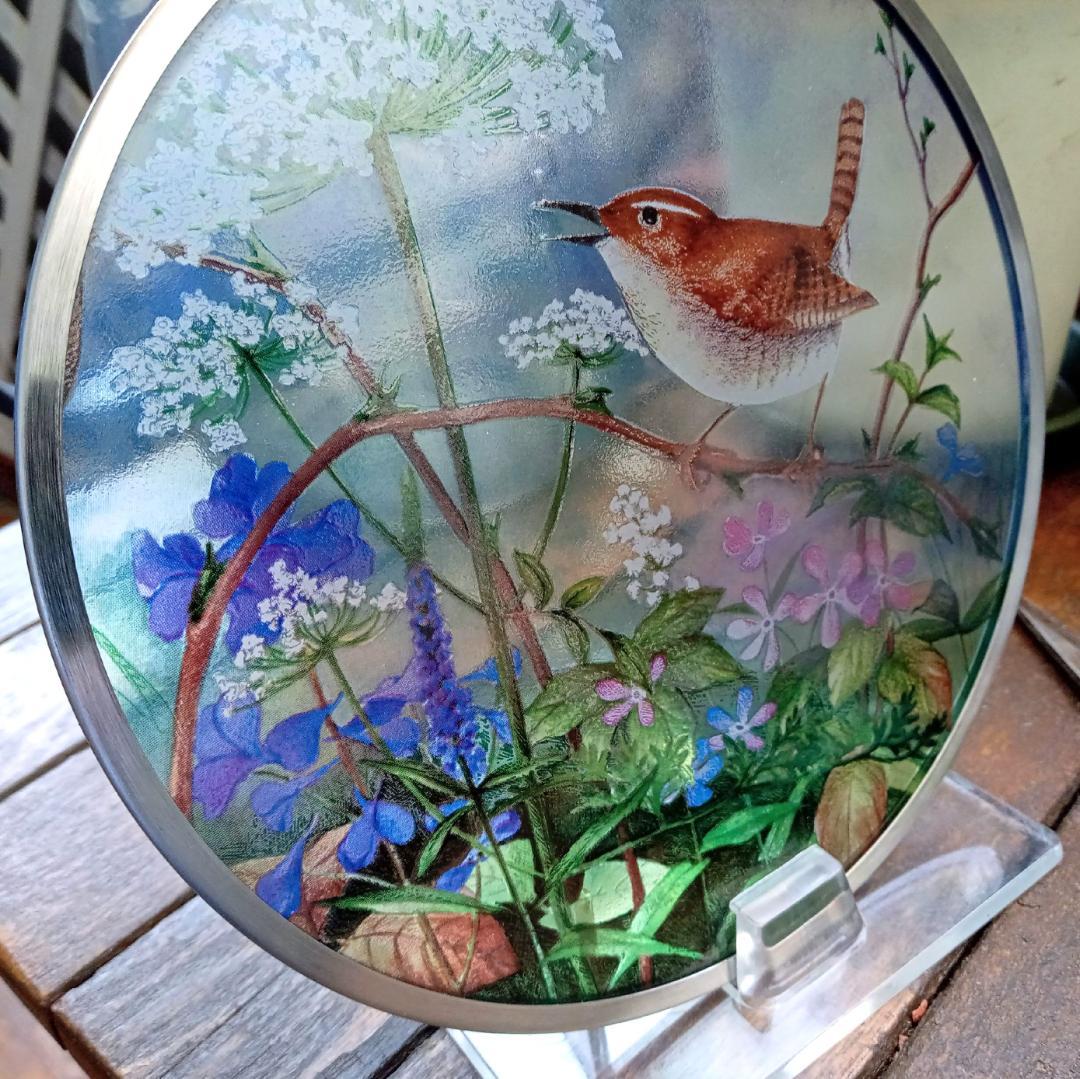 新品 花鳥・アメリカムシクイ スミレ サクラソウ カナダ・ステンドグラス社