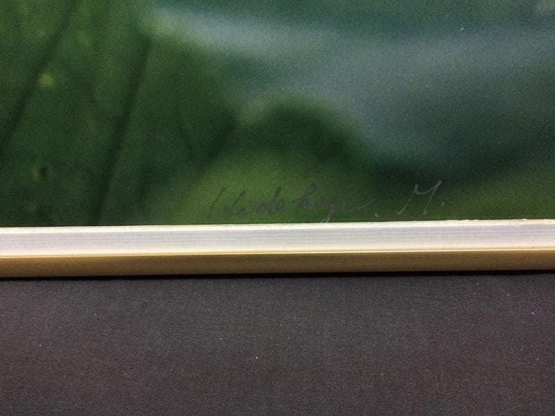 華 / 睡蓮  村山ヒデカズ オリジナルオリジナルプリント 17/3_3