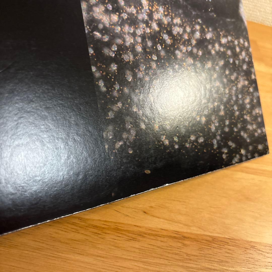 坂本龍一 plankton アナログ盤