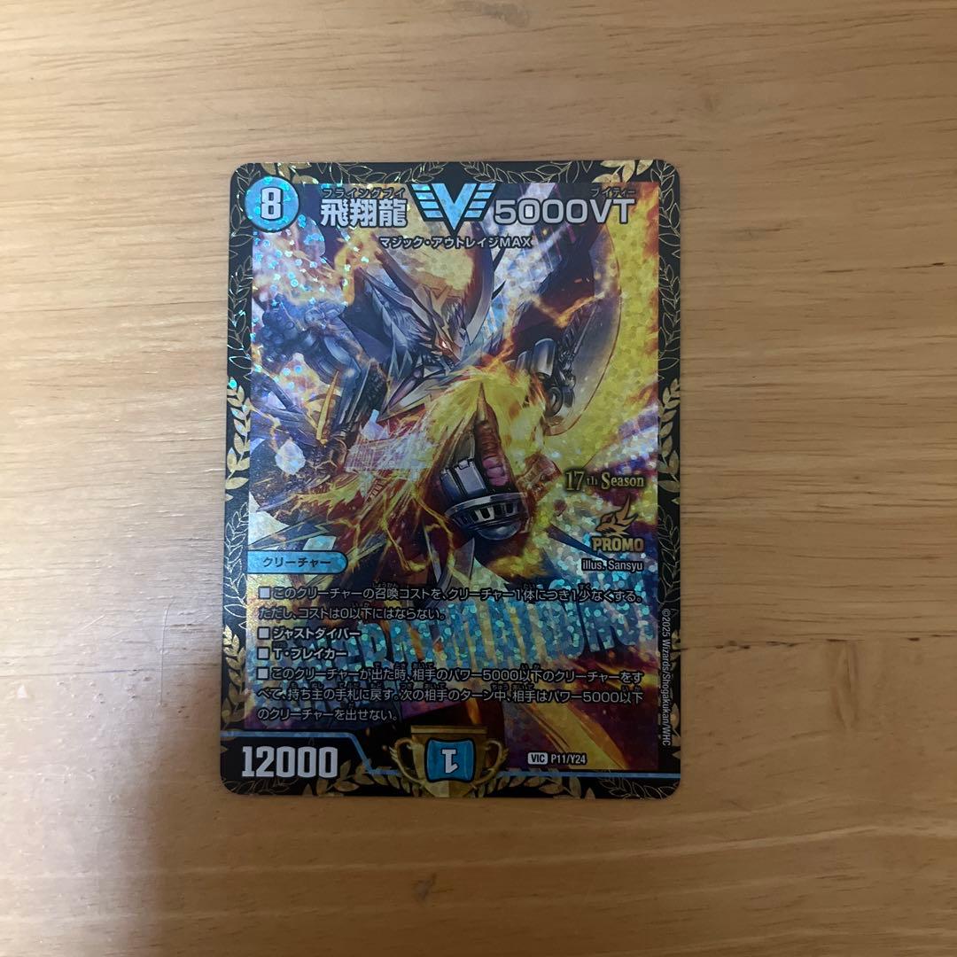 飛翔龍 5000VT csプロモ