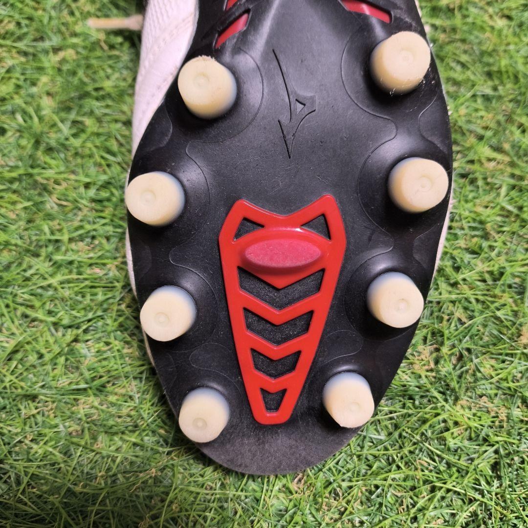 ☆りょう☆Morelia β Japan