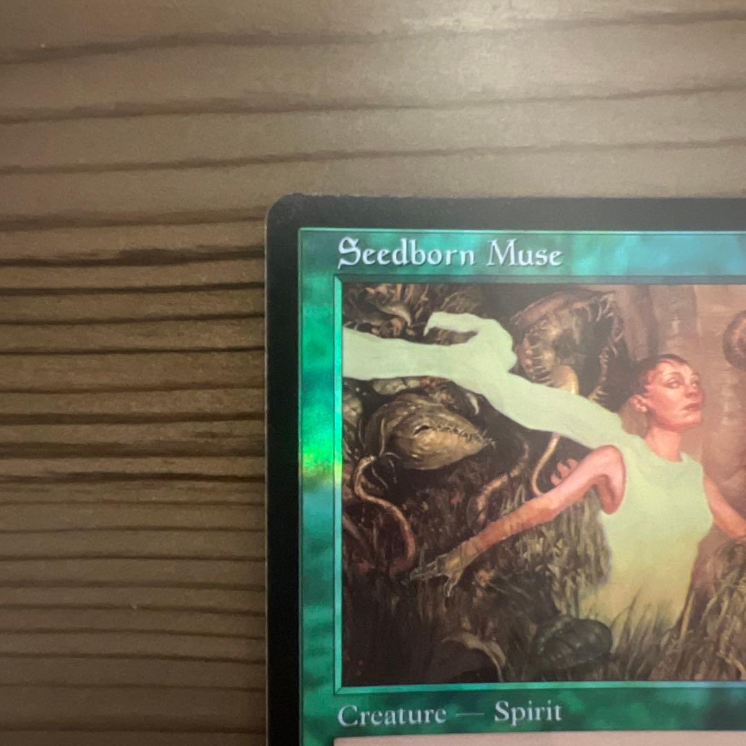h*a様 Seedborn Muse 種子生まれの詩神　ホイール