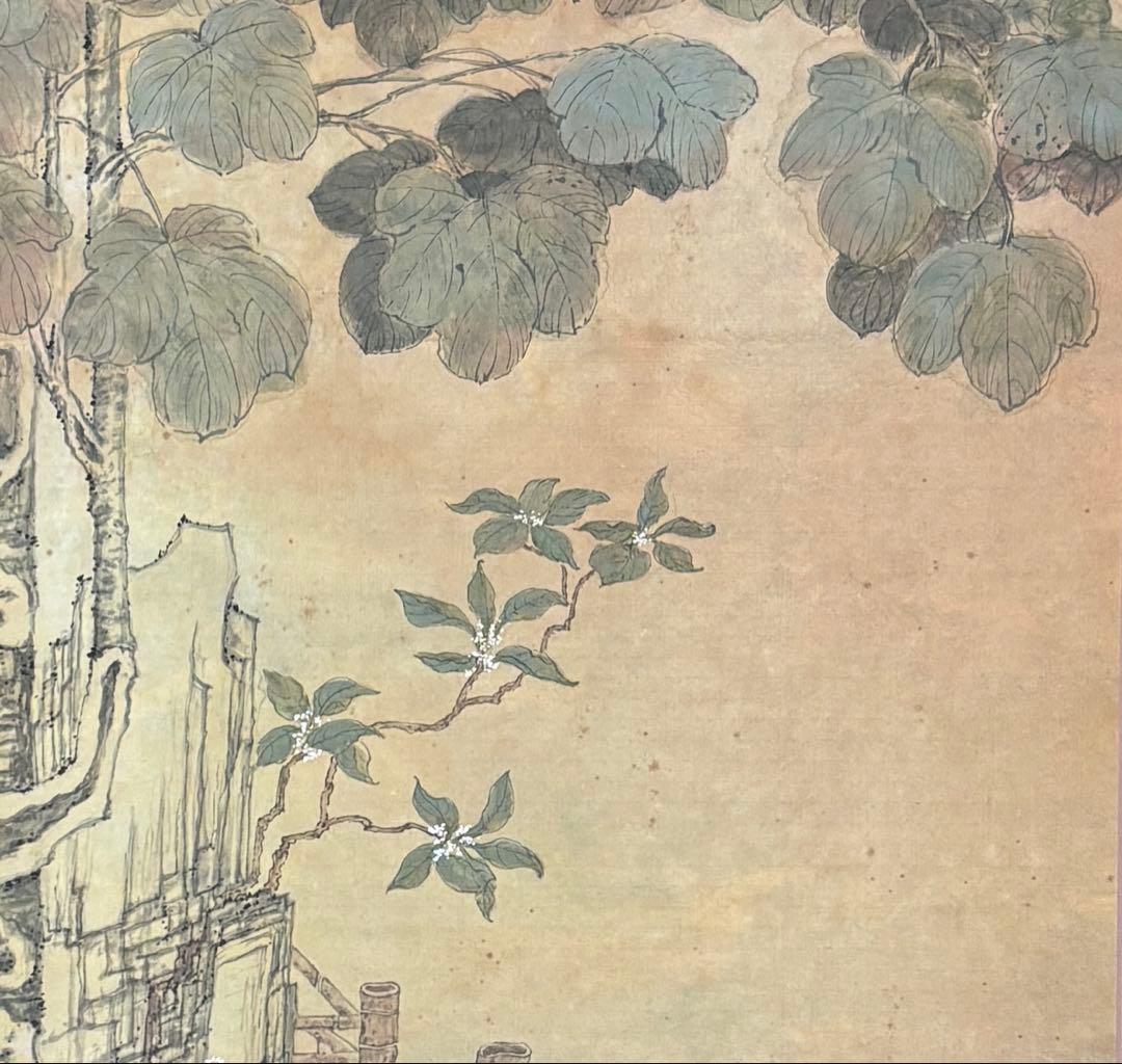 水墨画　掛け軸　悟桐双兎 謝陽画　兎　中国　張大千大風堂　カラー　箱付