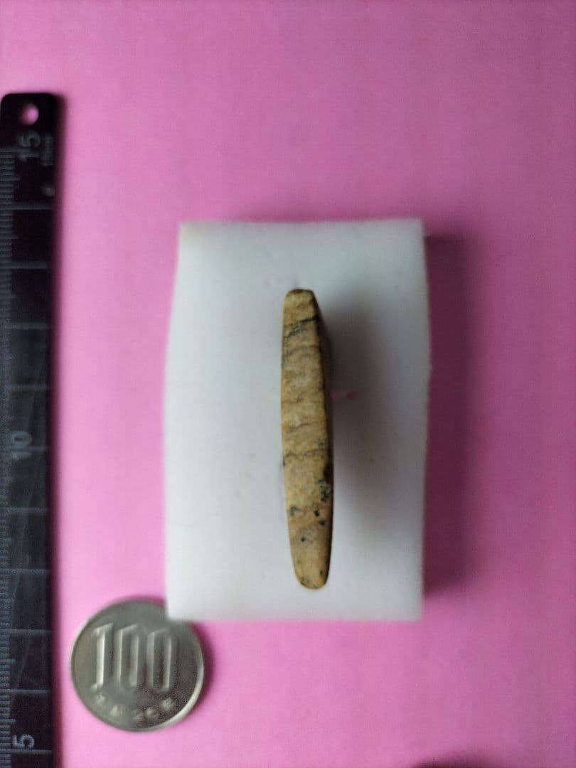 りんご娘ページです。装身具セット(出土品) 勾玉、丸玉、角 縄文時代晩期