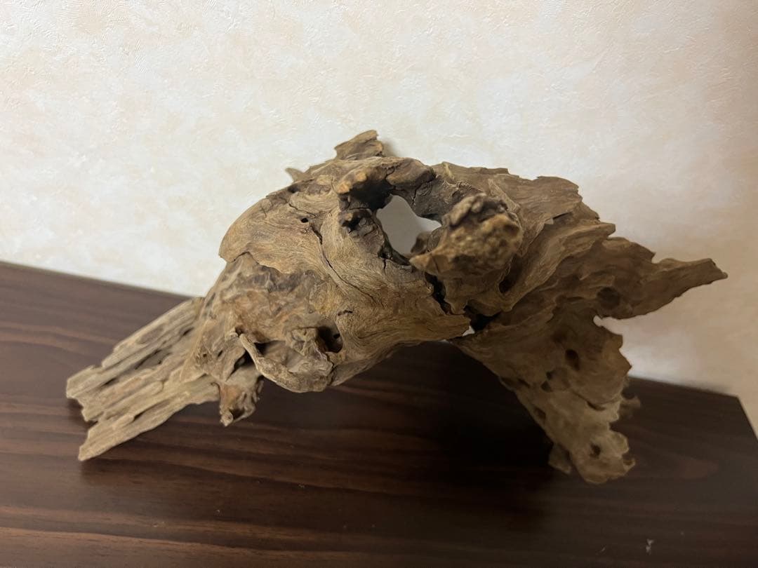 XM-197 流木　マシンガンウッド　アクアリウム　ブランチウッド　沈水確認済