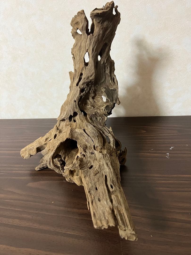 XM-197 流木　マシンガンウッド　アクアリウム　ブランチウッド　沈水確認済