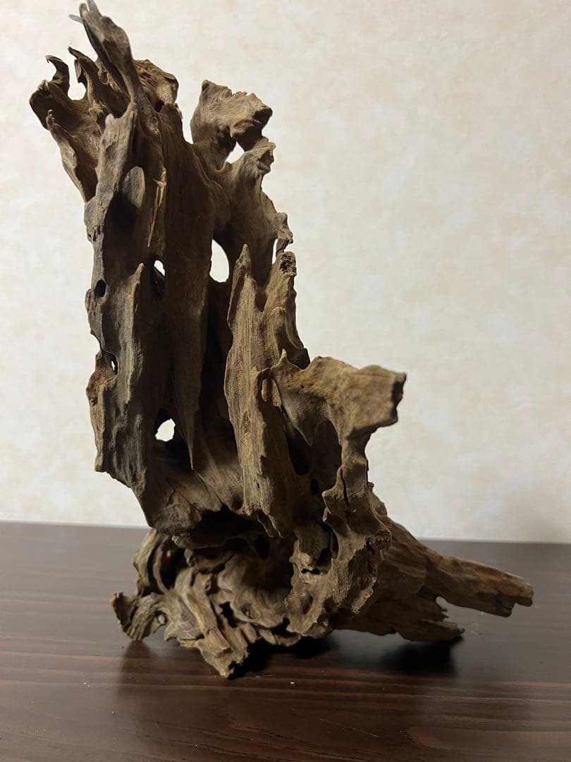 XM-197 流木　マシンガンウッド　アクアリウム　ブランチウッド　沈水確認済